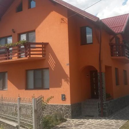 Pensiunea Adi Săpînţa Exteriér fotografie