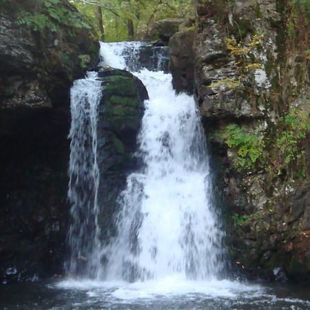 Pensiunea Adi Săpînţa Exteriér fotografie