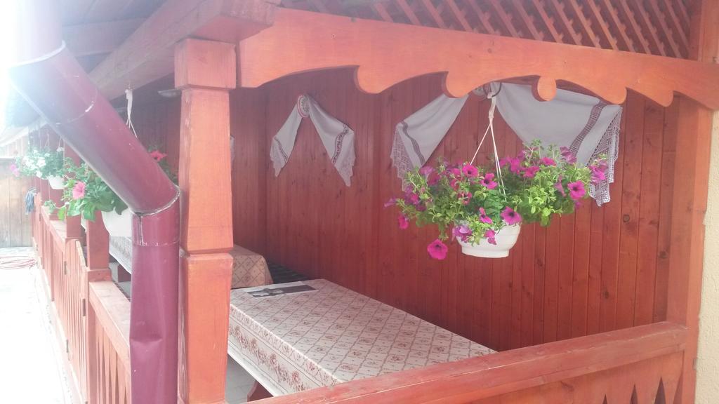 Pensiunea Adi Săpînţa Exteriér fotografie