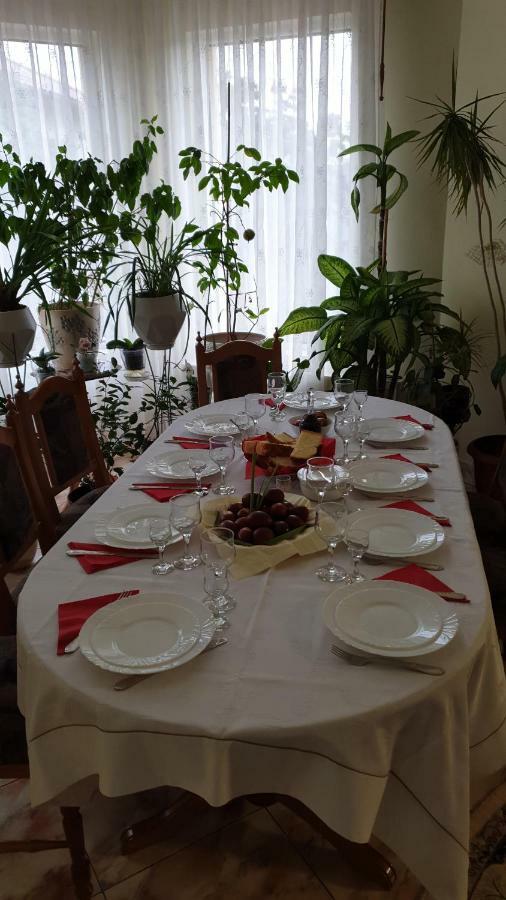 Pensiunea Adi Săpînţa Exteriér fotografie